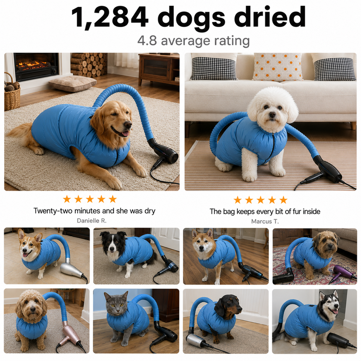 Dogs dried with the Loovina Dog Drying Bag, 4.8 average rating