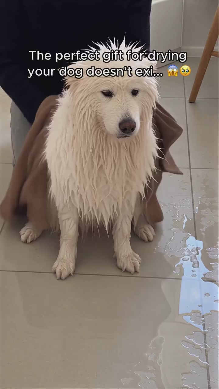 Dog drying hands-free in the drying bag